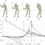 When does the Pelvis Begin to Decelerate in the Downswing of Golf?