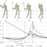 When does the Pelvis Begin to Decelerate in the Downswing of Golf?
