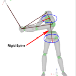 Two Spine Models: Rigid and Two-Segment