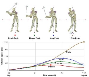 AMM3D Downswing Sequence with Avatars demonstrated in the Forces and Motion - Kinetics and Kinematics